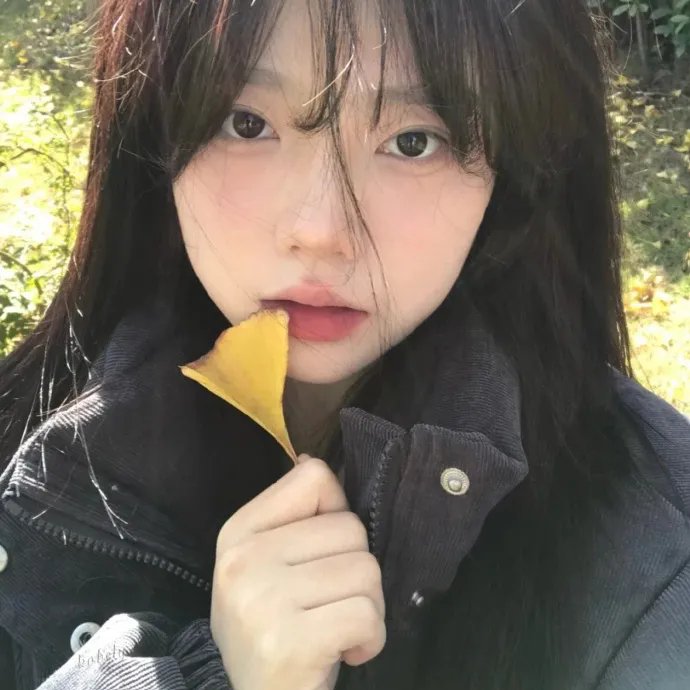 失踪事件之一 海报